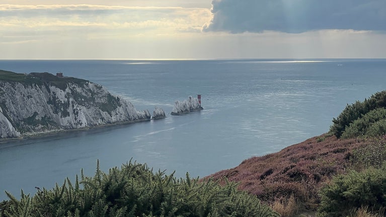 Image of purple heather on Headon Warren with the Needles in the background